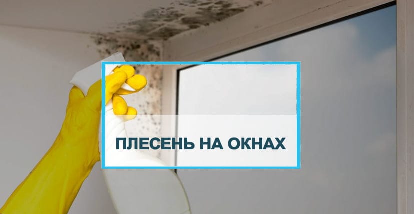 Возможно ли избавиться от плесени и грибка на окнах