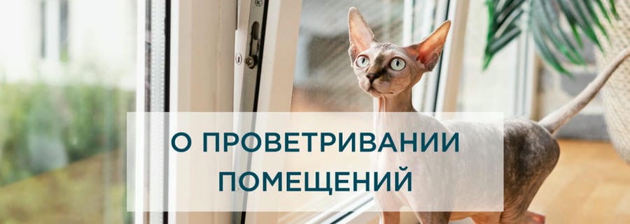 Все ли способы проветривания помещения одинаково полезны?