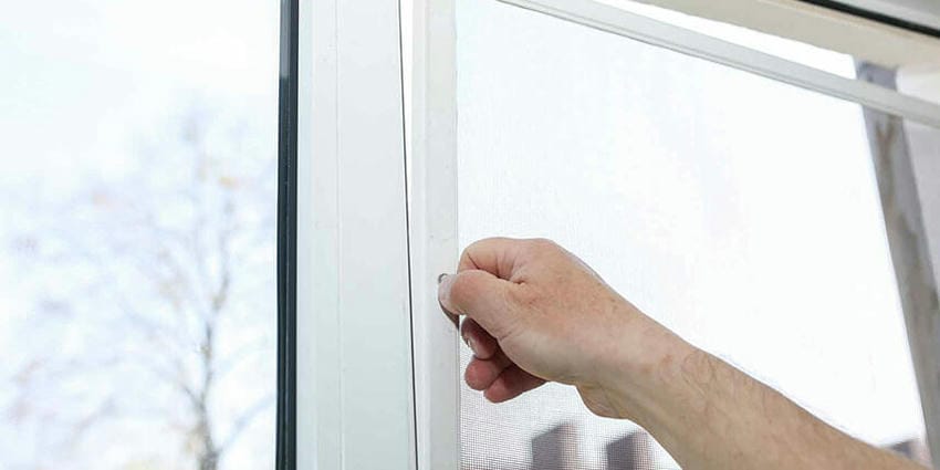 Москитные сетки зимой. Снимать или оставить &laquo;зимовать&raquo;? - 1