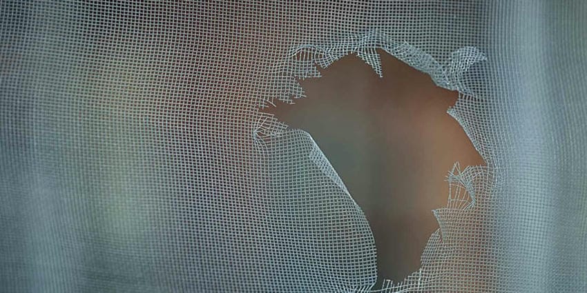 Москитные сетки зимой. Снимать или оставить &laquo;зимовать&raquo;? - 2