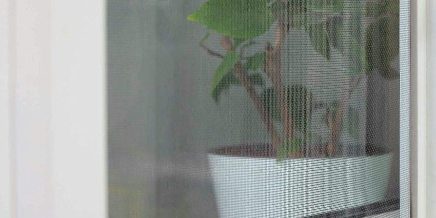 Москитные сетки зимой. Снимать или оставить &laquo;зимовать&raquo;? - 3