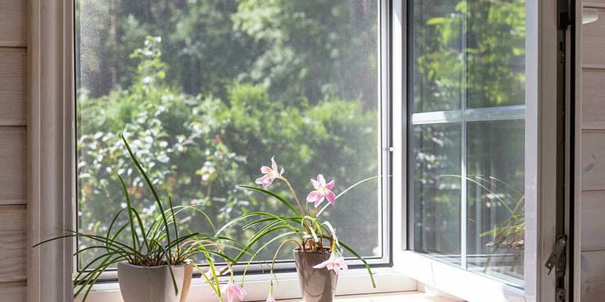 Москитные сетки зимой. Снимать или оставить &laquo;зимовать&raquo;? - 6